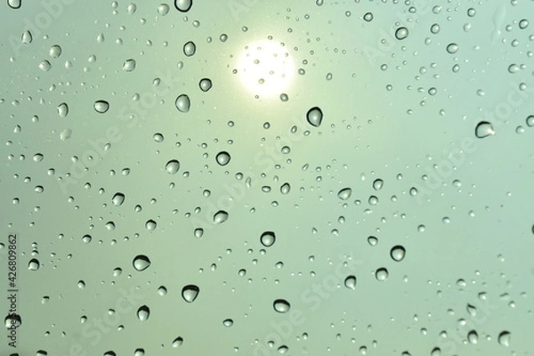 Fototapeta rain drops on window