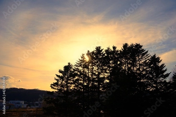 Obraz 北海道、田舎の夕暮れ