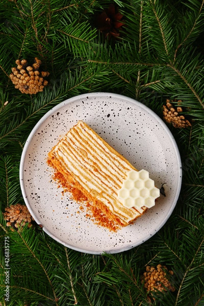 Fototapeta honey cake on ceramic plate top view. dessert on spruce background with cone