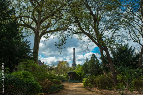 Obraz view of the eiffel tower from the park