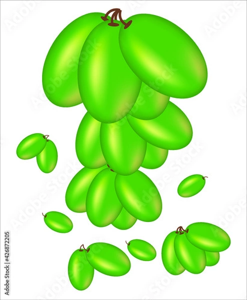 Fototapeta vector abstract having grapes on white background