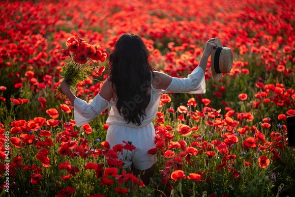 Obraz the girl walks in the poppy field