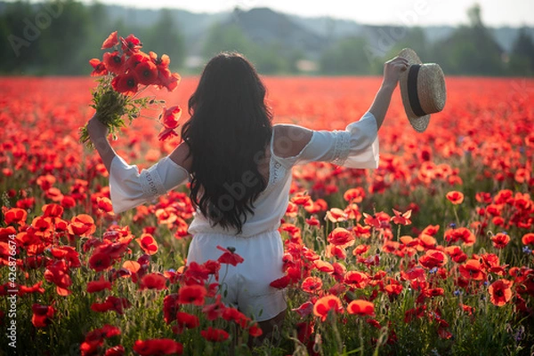 Obraz the girl walks in the poppy field