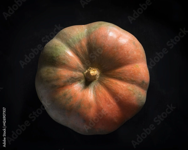 Obraz Pumkin on black background