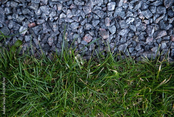 Obraz Gray small pebbles and green grass. Landscape design