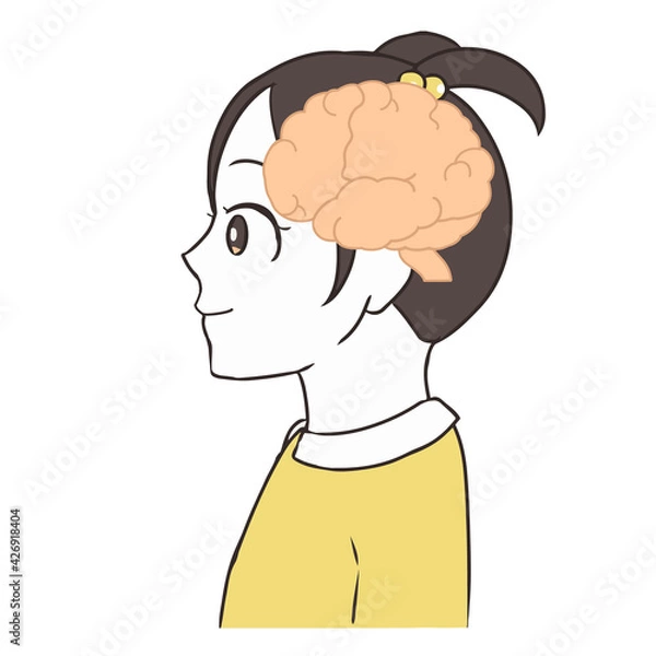 Obraz 脳の断面図　女の子