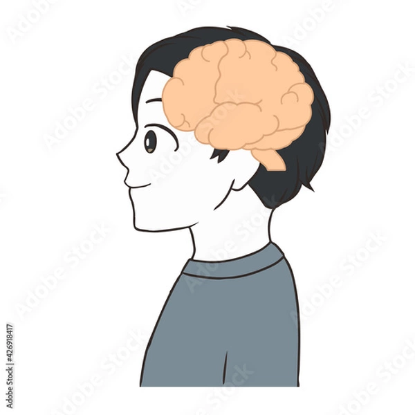 Obraz 脳の断面図　男の子