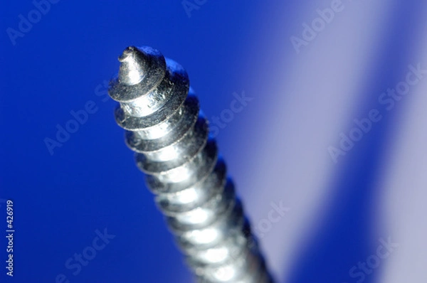 Obraz screw 3391_13185