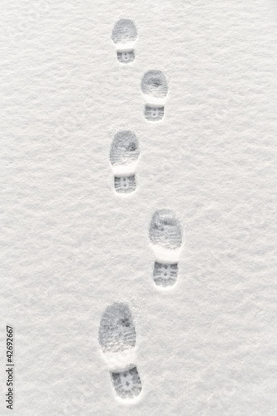 Obraz Ślady na śniegu