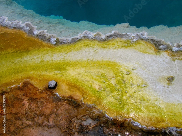 Fototapeta Black Pool No. 1. A detail view of the colorful algae, microbial mat, and coral like formations at the edge of of Black Pool at West Thumb Geyser Basin in Yellowstone National Park, Wyoming, USA, 2005