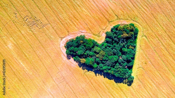 Fototapeta serce lato