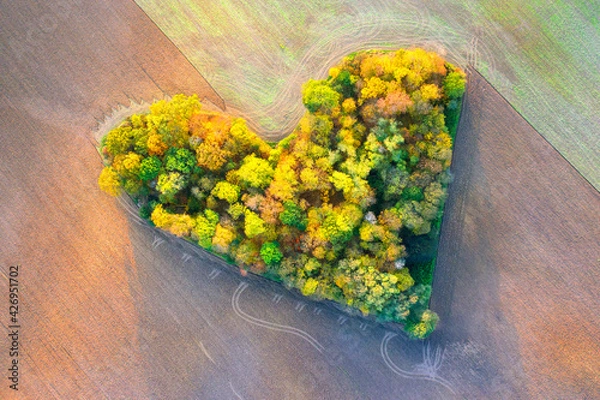 Fototapeta Serce jesień