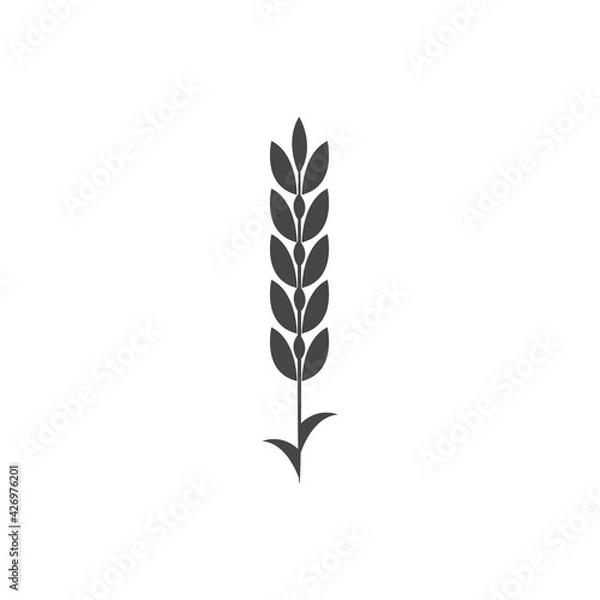 Obraz Minimalistic wheat icon. Simple barley, weat, rice logo vector illustration. Wheat vector isolated on white background. Farm and Bakery Symbol