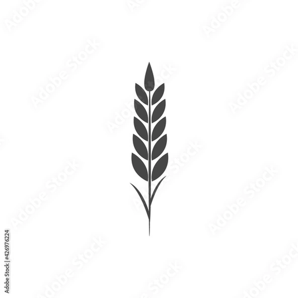 Obraz Minimalistic wheat icon. Simple barley, weat, rice logo vector illustration. Wheat vector isolated on white background. Farm and Bakery Symbol