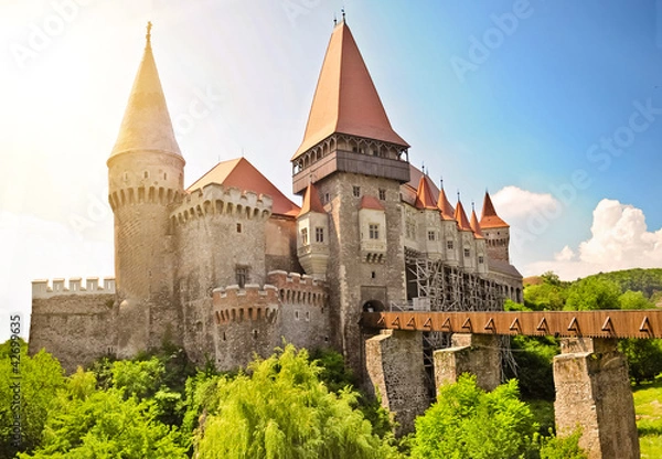 Obraz Gothic castle, Hunedoara
