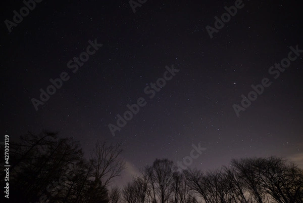 Obraz 奥多摩、雲取山の登山風景、星空