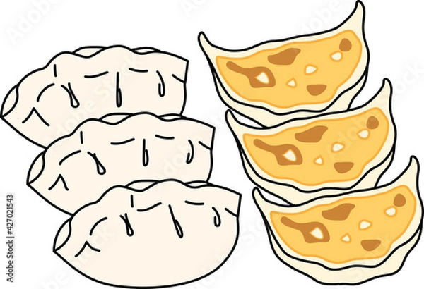 Obraz 焼く前と焼いた後の餃子のイラスト