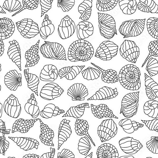 Fototapeta Seamless pattern of outlines various sea shells