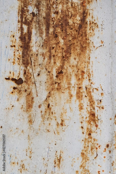 Obraz Old rusty aged white grunge metal surface texture background