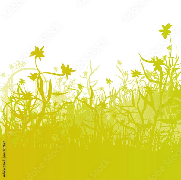 Obraz Blumen auf der Graswiese