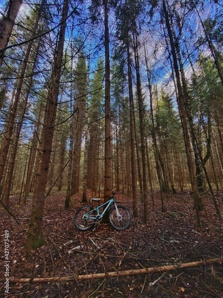 Obraz mountain bike in forest