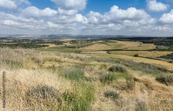 Fototapeta View from the top of Tel Gezer in spring