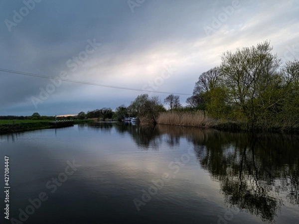 Obraz reflection of trees on the river