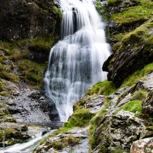 Obraz waterfall in the forest