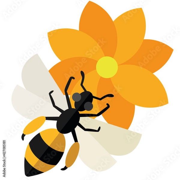 Fototapeta A bee collects nectar from a flower