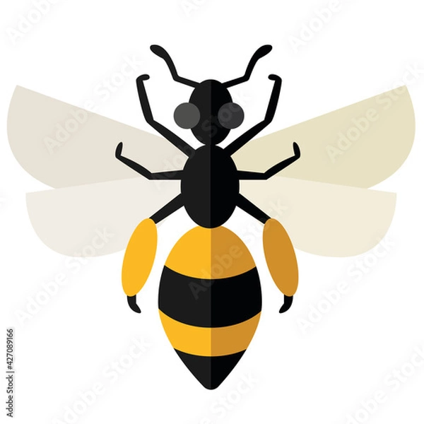 Fototapeta Bee insect icon flat design vector image