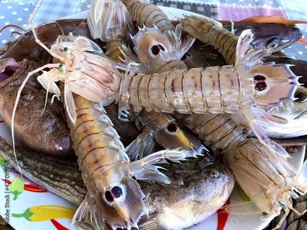 Obraz Fresh raw mantis shrimps from the fish market