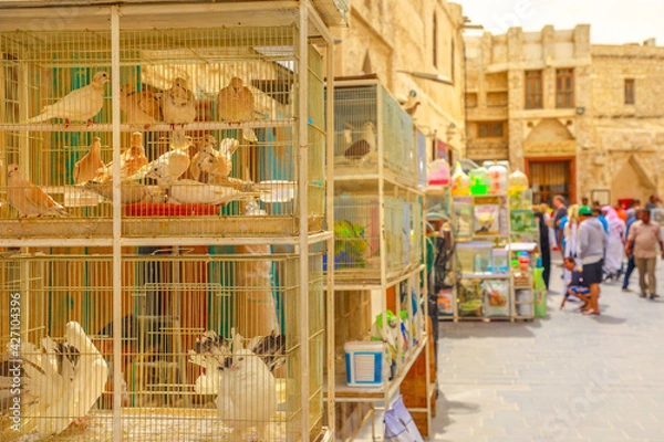 Obraz Cages with birds in foreground at Bird Souq inside Souq Waqif, the old market and popular tourist attraction in Doha center, Middle East, Arabian Peninsula. Doha, Qatar