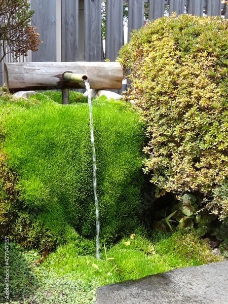 Obraz 身曾岐神社