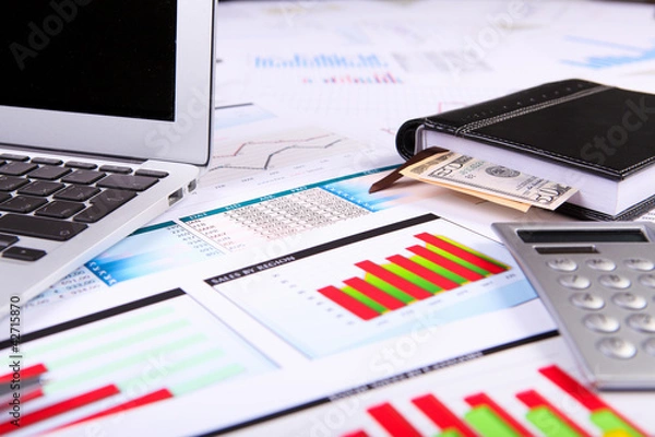 Obraz Financial papers on the table