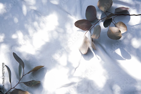 Fototapeta 白のファブリックに置かれたドライフラワーのフレーム
