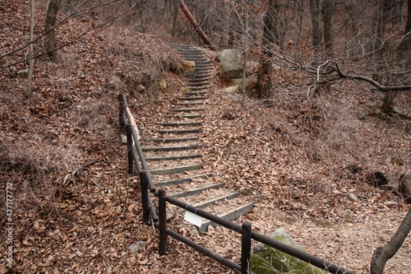 Obraz Scenery of a trail near Jingwansa Temple in Eunpyeong-gu. in Seoul, South Korea. Feb. 9, 2021