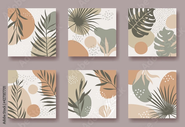 Fototapeta Set of six vector square backgrounds with abstract ornament and plants