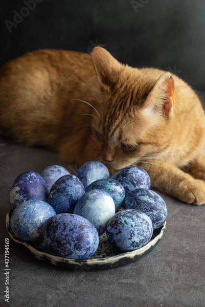 Fototapeta a ginger cat sits on the kitchen table next to blue-painted Easter eggs. The concept of preparing for Easter at home.