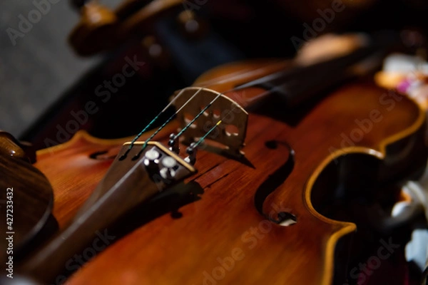 Fototapeta close up of a violin