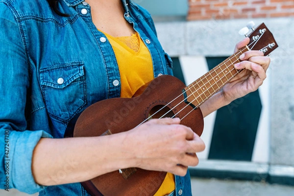 Obraz horizontal view of unrecognizable woman playing the ukelele outdoors. Entertainment, music and leisure concept on holidays.