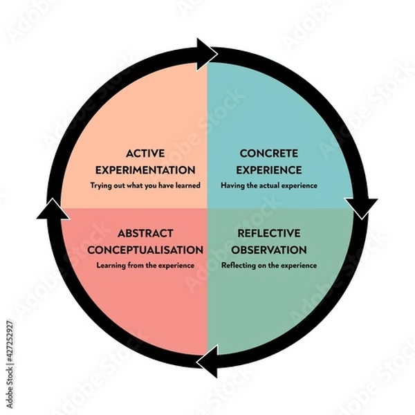 Fototapeta Illustration showing a psychological model of the learning process