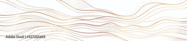 Obraz Golden line on white abstract elegant texture.