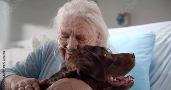 Obraz Close up portrait of aged woman patient hugging and stroking dog in clinic room