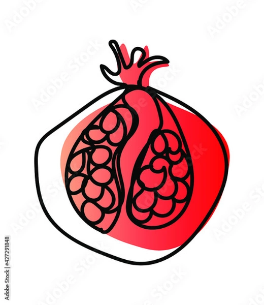 Fototapeta Vector illustration of pomegranate in one line endless style. Red and light red abstract spot background. Can be applied as a sticker, icon, logo.