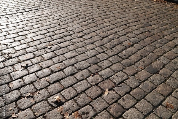 Obraz Kopfsteinpflaster im Herbst