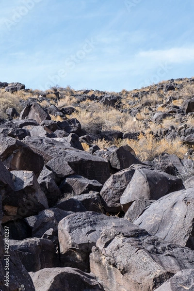 Fototapeta Petroglpyhs 