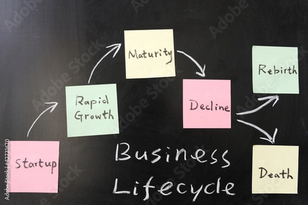 Fototapeta Business lifecycle  concept