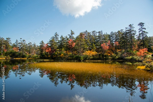 Obraz Outono em Hokkaido.	