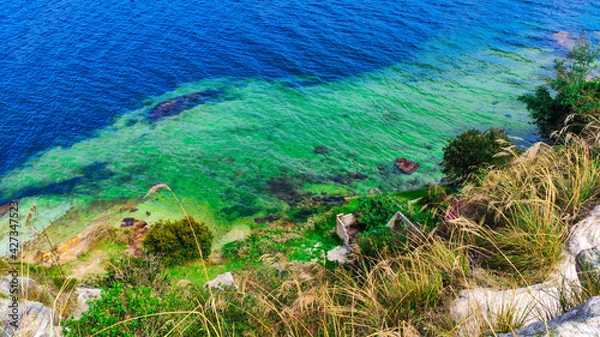 Obraz grass on the beach