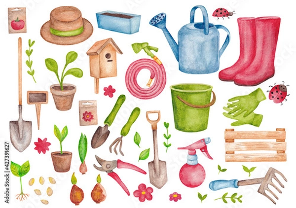 Fototapeta A set of items on the theme of the garden and vegetable garden. Color illustration with garden tools and plants. Watercolor illustrations for the design of stationery, textiles, web, postcards.